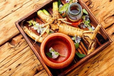 Althaea kökü ya da rizom ve iyileşen tentürler. Şifalı otlar ve bitkiler..