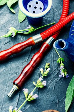 Ot tüttürmenin ayrıntıları. Bitkiler üzerinde nargile. Adaçayı aromalı nargile tütünü.