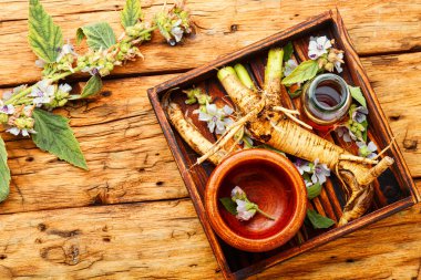 Althaea kökü, bitkisel ilaç, şifalı bitkiler ve kökler..