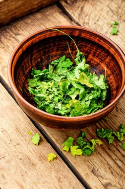 Kurutulmuş yeşil maydanozdan yapılmış konserve ya da baharat. Bir yığın kurutulmuş maydanoz.