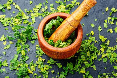 Konserve ya da baharat kurutulmuş yeşil maydanozdan yapılır..