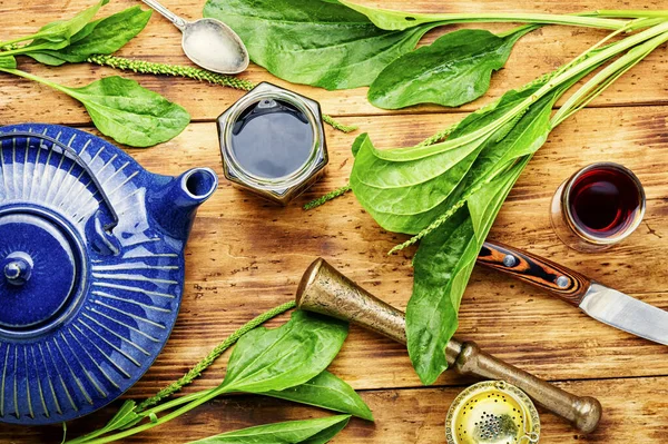 Medicinsk Tinktur Och Groblad Extrakt Medicinska Örter Växtbaserade Medicin Färska — Stockfoto