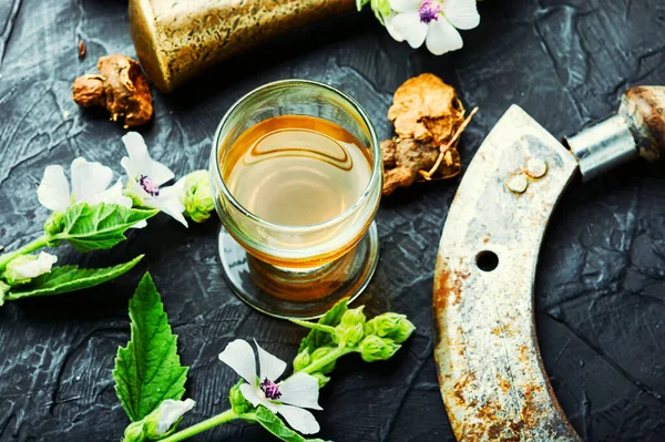 Άγρια Φαρμακευτικά Βότανα Τσάι Και Ελιξίρια Ρίζας Αλθαίας — Φωτογραφία Αρχείου