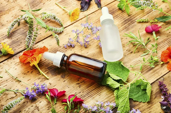 Butelki Olejku Eterycznego Świeżymi Ziołami Kwiatami Alternatywna Zdrowa Medycyna — Zdjęcie stockowe