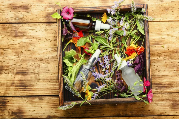 Óleos Essenciais Flores Ervas Essência Ervas Aromaterapia Medicina Herbal — Fotografia de Stock