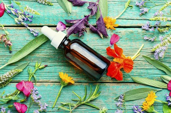 Aceites Esenciales Médicos Flores Hierbas Esencia Herbaria Aromaterapia —  Fotos de Stock