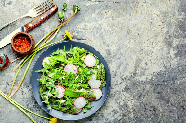 Vårsallad Med Rädisa Nässla Sill Och Maskros Färsk Salladsplatta Med — Stockfoto