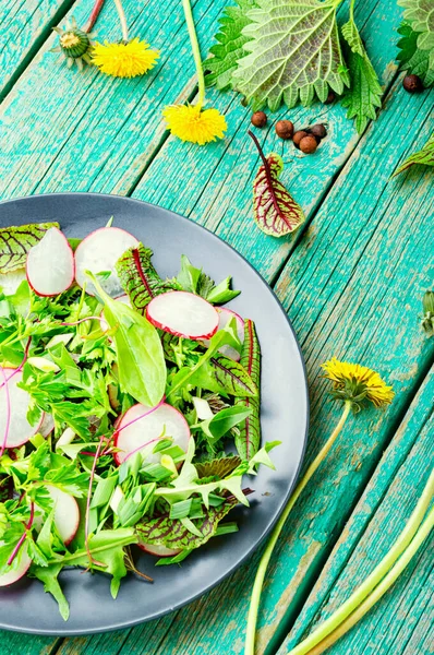 Salada Primavera Com Rabanete Urtiga Azeda Dente Leão — Fotografia de Stock