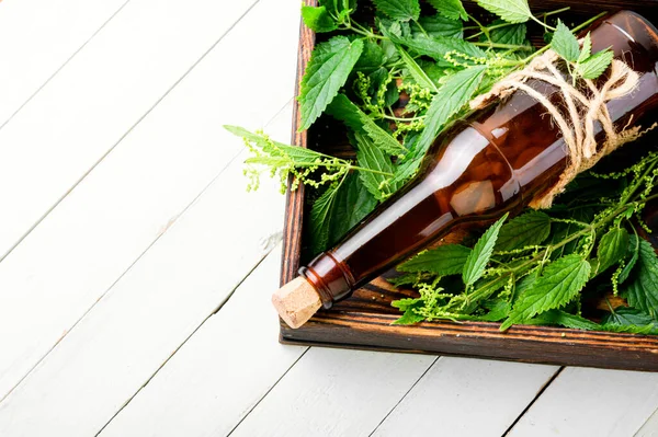 Nettle Extract Bottle Fresh Nettle Leaves Stinging Nettles — Stock Photo, Image