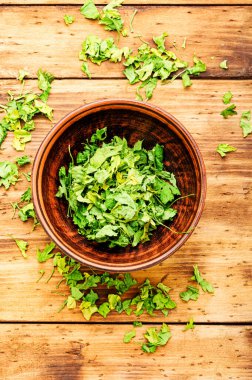 Konserve ya da baharat kurutulmuş yeşil maydanozdan yapılır..