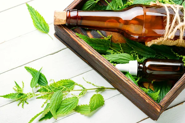 瓶や新鮮なイラクサの葉にイラクサ抽出物 — ストック写真