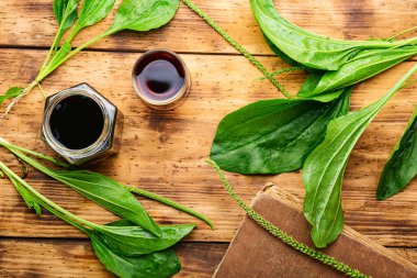 İlaç tentürleri ve bitki özleri. Bitkisel ilaçlardaki tıbbi bitkiler. Taze muz yaprakları.