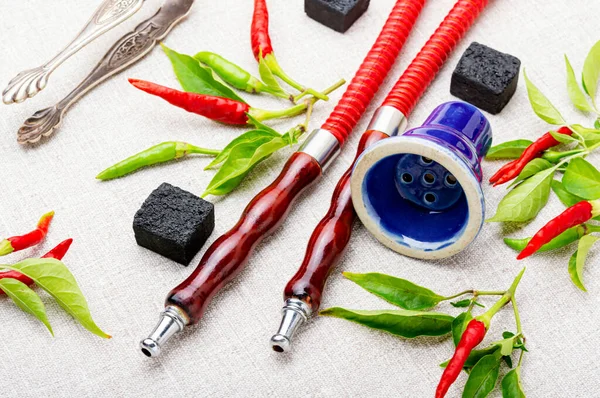 Oriental Hookah Tobacco Aroma Red Hot Pepper Hookah Chilli Pepper — Stock Photo, Image