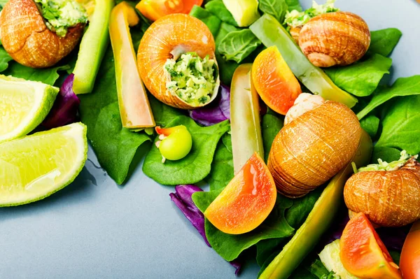 Salade Met Slakken Spinazie Tomaat Peper — Stockfoto