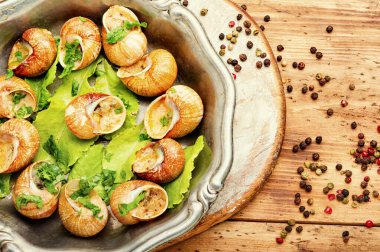 Salyangoz ya da sarımsaklı salyangoz, ahşap arka planda.