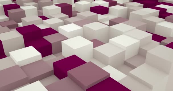 Looping Cube Animation Hintergrund Abstrakte White Box Verschiebung — Stockvideo