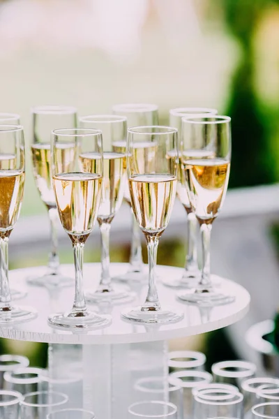 Birçok bardak şampanya