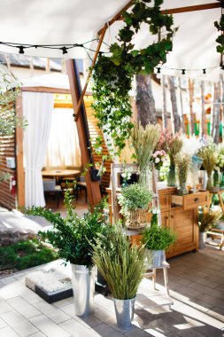 Süslü kır çiçekleri