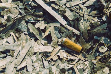 Bir katta sigara izmariti Instagram tarzında çekilen sahilinde Kuru Yosun atılır