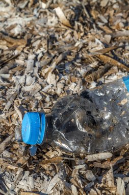 Mavi top plastik çevre kirliliğine neden olan kıyı üzerinde kuru deniz yosunu bir yatak üzerinde yalan ile plastik pet şişe atıldı