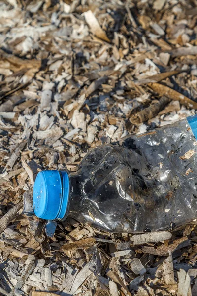 Discarded Plastic Pet Bottle Blue Top Lying Bed Dry Seaweed — Stock Photo, Image