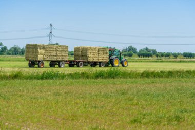 Dordrecht, Hollanda - Haziran 12020: Kırsal bölgedeki bir karavana balya saman yükleyen yeşil traktör. Biesbosch Ulusal Parkı Hollanda 'nın en büyük ulusal parklarından biridir.