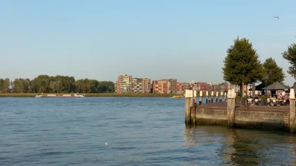 Vista al otro lado del río Maas de la nueva sede de Fokker entre Dordrecht y Papendrecht — Vídeo de stock