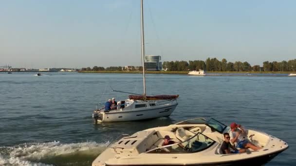 Rio ocupado Maas é uma importante rota de navegação interior para Roterdão — Vídeo de Stock