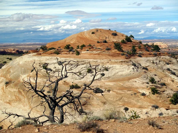 Canyonlands Nationalo Parkı; Moab, Utah; Aztek Butte Trail boyunca görüntüle