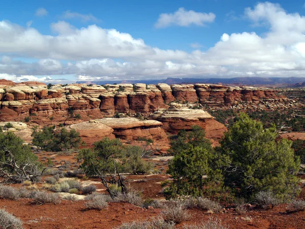 Parque Nacional Canyonlands Moab Utah Área Agujas Largo Chesler Park —  Fotos de Stock