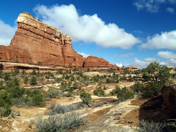 Canyonlands Ulusal Parkı; Moab, Utah; Chesler Park Kuyruk boyunca İğne Alanı