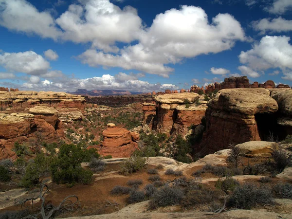 Εθνικό Πάρκο Canyonlands Μωαβ Γιούτα Περιοχή Βελόνες Κατά Μήκος Της — Φωτογραφία Αρχείου