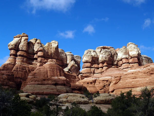 Canyonlands Ulusal Parkı Moab Utah Chesler Park Kuyruk Boyunca Ğne — Stok fotoğraf