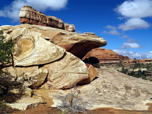 Canyonlands Ulusal Parkı; Moab, Utah; Chesler Park Kuyruk boyunca İğne Alanı