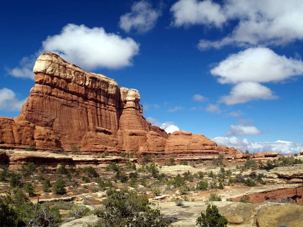 Canyonlands Ulusal Parkı; Moab, Utah; Chesler Park Kuyruk boyunca İğne Alanı