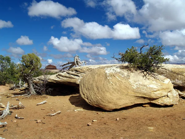 Canyonlands Ulusal Parkı; Moab, Utah