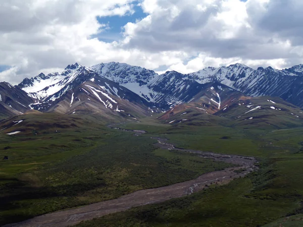 Denali Milli Parkı, alaska