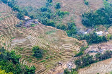 Vietnam, Sapa - Ricefields görünümünü
