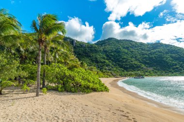 Güzel plaj sahil Vietnam - Ninh van Körfezi