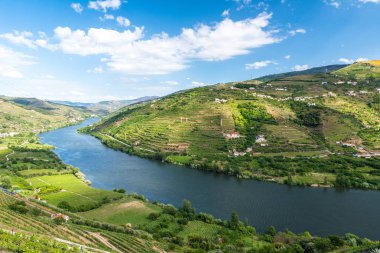 Douro nehir regionin Portekiz - üzüm bağları peyzaj