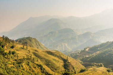 Vietnam, Sapa - Ricefields görünümünü