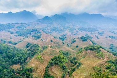 View of Vietnam, Sapa -  Ricefields clipart