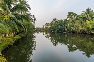 Mekong Delta Vietnam görünümünü