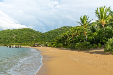 Güzel plaj sahil Vietnam - Ninh van Körfezi