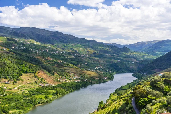 Krajina Regionin Řeky Douro Portugalsko Vinice — Stock fotografie