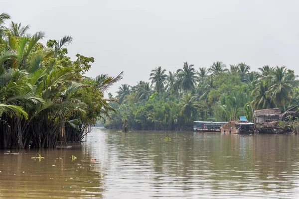 View Mekong Delta Vietnam — Stock Photo, Image