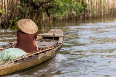 Mekong Delta Vietnam görünümünü