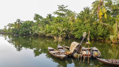 Mekong Delta Vietnam görünümünü