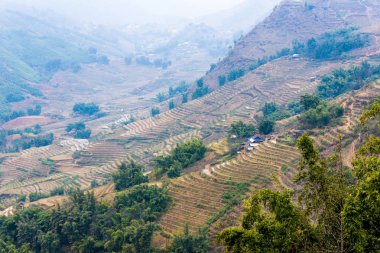 Vietnam, Sapa - Ricefields görünümünü