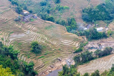 Vietnam, Sapa - Ricefields görünümünü